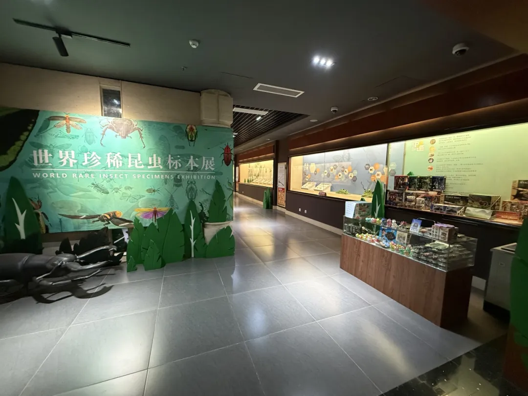 虫逢——世界珍稀昆虫标本展