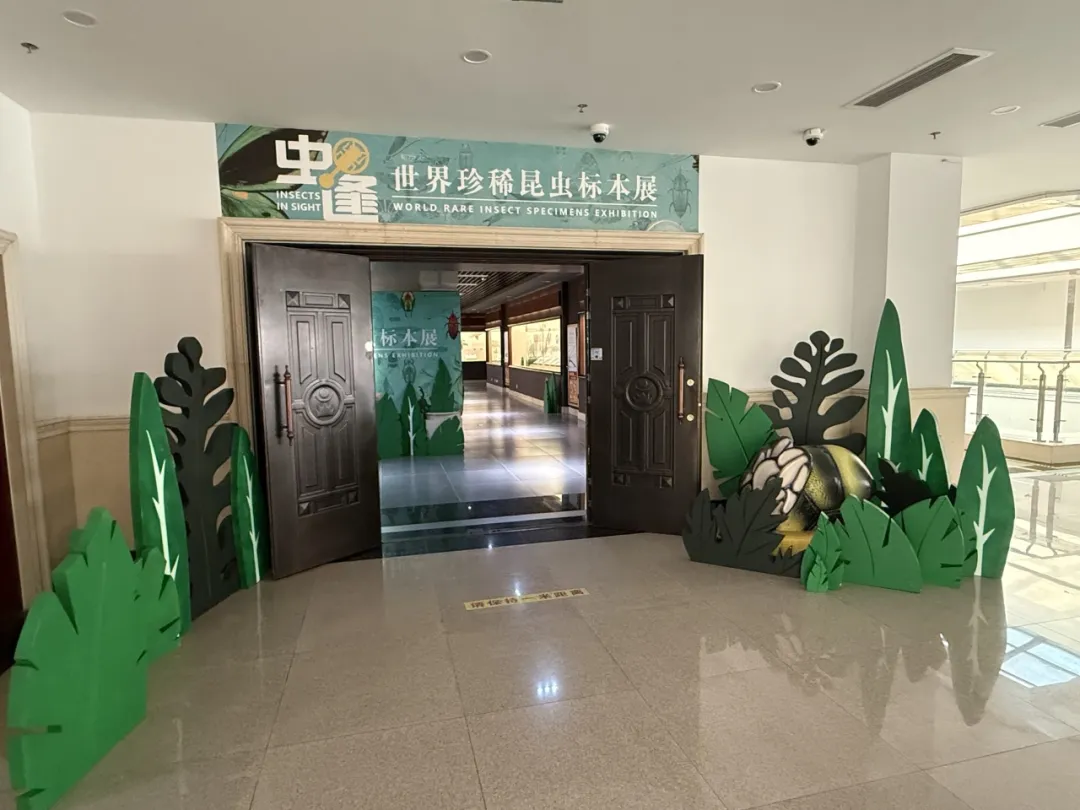 虫逢——世界珍稀昆虫标本展